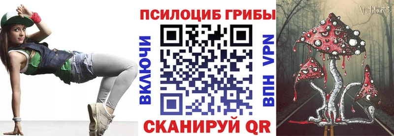 Галлюциногенные грибы Cubensis  Северо-Курильск 